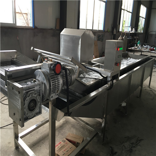 明超鮮枸杞清洗加工線 枸杞清洗機，枸杞清洗烘干流水線
