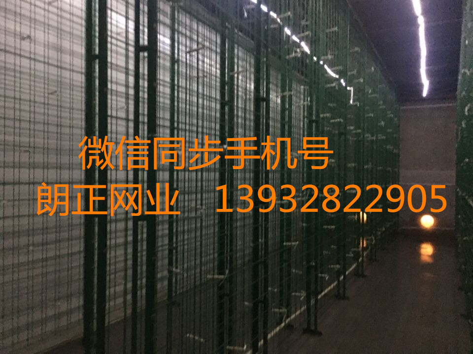 供應(yīng)網(wǎng)格網(wǎng)架 出菇網(wǎng)片 培菌架