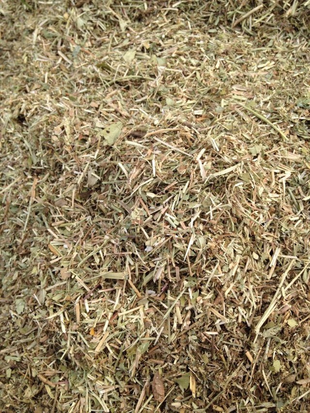 花生秧粉圖片/花生秧粉樣板圖 (3)