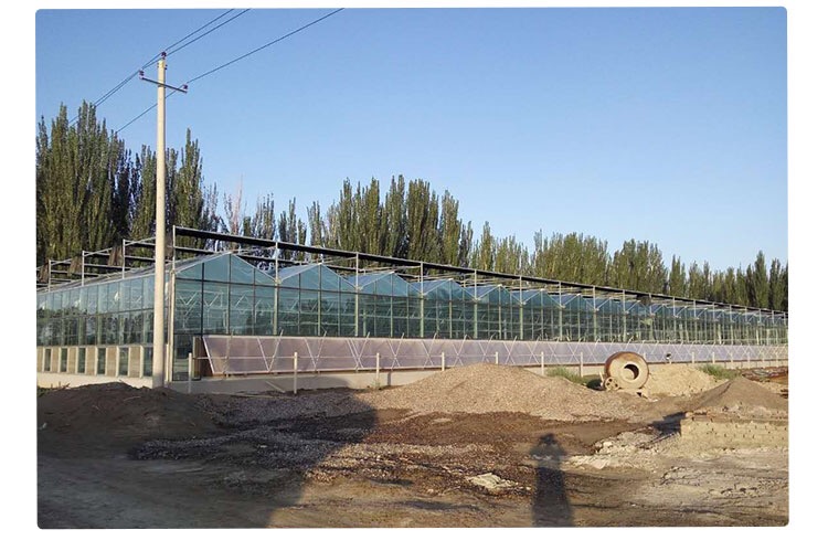 塑料大棚圖片/塑料大棚樣板圖 (3)