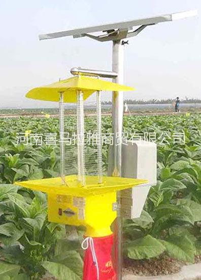 太陽(yáng)能sha 新款太陽(yáng)能殺蟲(chóng)燈