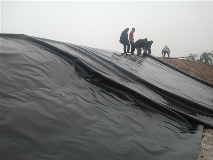 復(fù)合土工膜圖片/復(fù)合土工膜樣板圖 (4)