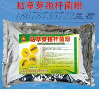 氨基酸粒粒肥圖片/氨基酸粒粒肥樣板圖 (4)