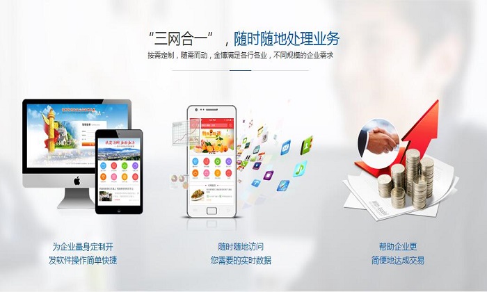 分銷系統圖片/分銷系統樣板圖 (4)