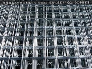 鍍鋅網(wǎng)片圖片/鍍鋅網(wǎng)片樣板圖 (2)