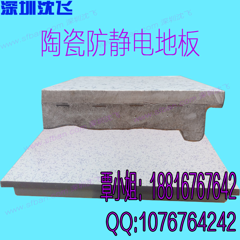 防靜電機(jī)房地板圖片/防靜電機(jī)房地板樣板圖 (2)