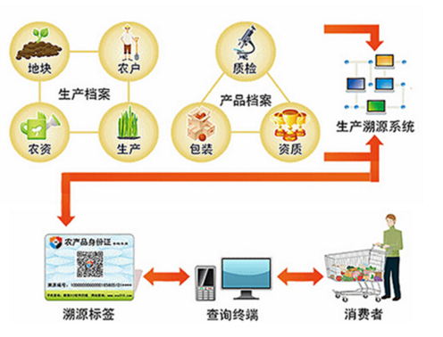 農(nóng)作物種子圖片/農(nóng)作物種子樣板圖 (1)