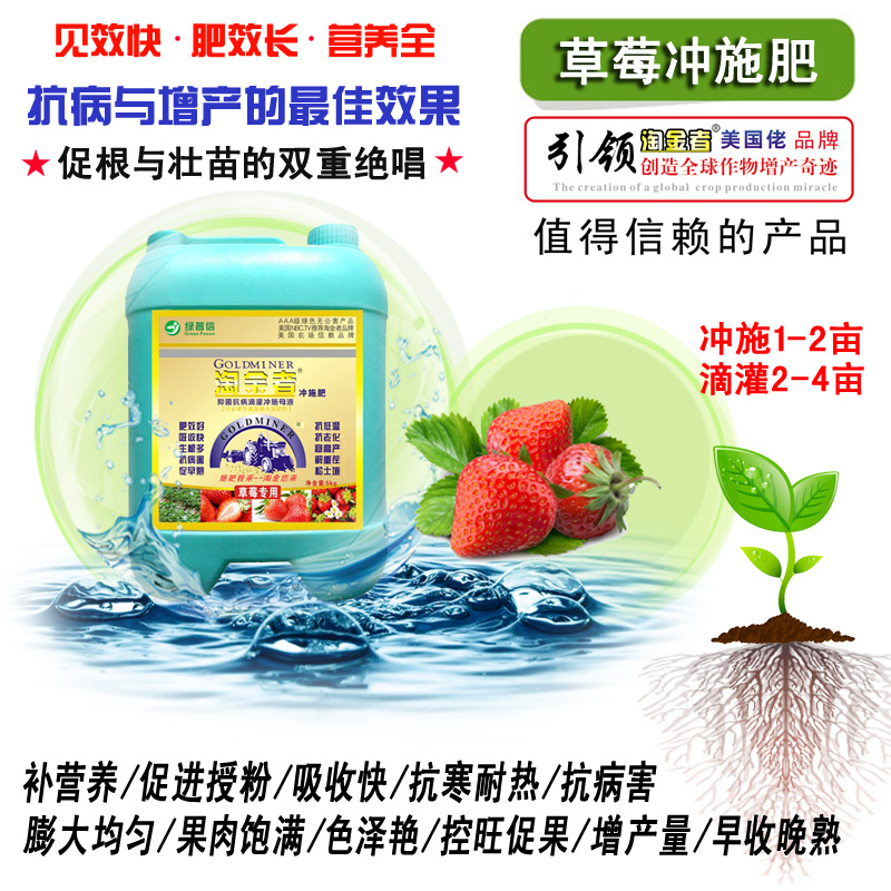 草莓沖施肥圖片/草莓沖施肥樣板圖 (1)