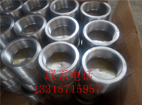內(nèi)螺紋管帽圖片/內(nèi)螺紋管帽樣板圖 (1)