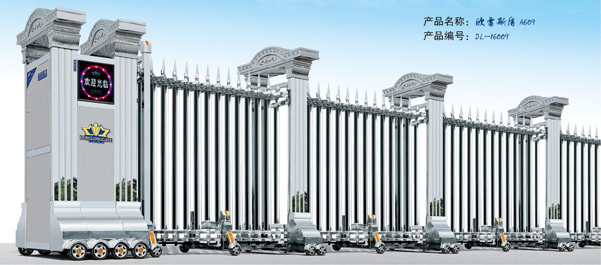 電動(dòng)門歐雷斯盾圖片/電動(dòng)門歐雷斯盾樣板圖 (4)