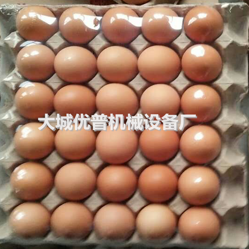 全自動(dòng)套膜封切熱收縮包裝機(jī)圖片/全自動(dòng)套膜封切熱收縮包裝機(jī)樣板圖 (1)