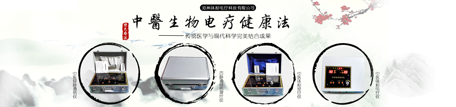 體控電療儀圖片/體控電療儀樣板圖 (4)