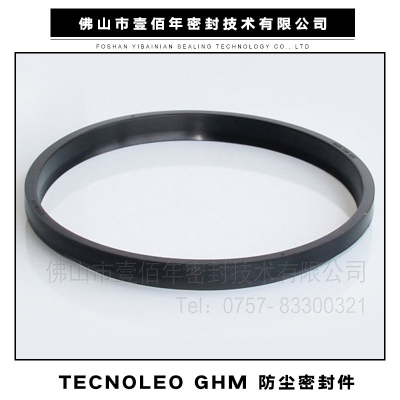 密封件圖片/密封件樣板圖 (1)