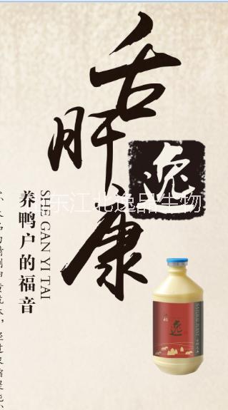 腺胃炎圖片/腺胃炎樣板圖 (2)