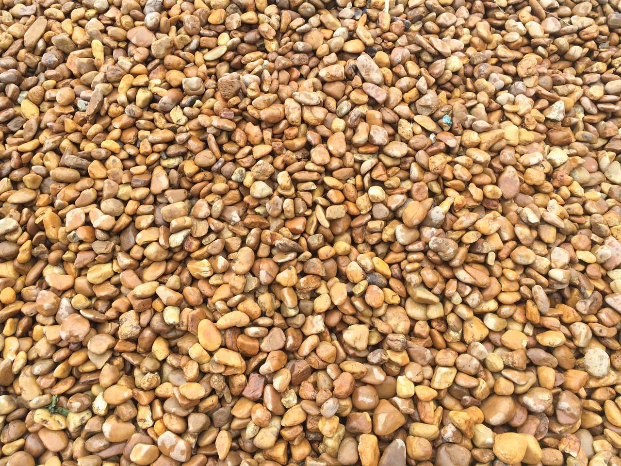 黃蠟石鵝卵石圖片/黃蠟石鵝卵石樣板圖 (2)