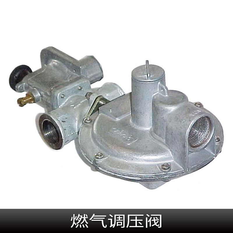 衡水燃?xì)庹{(diào)壓器廠家圖片/衡水燃?xì)庹{(diào)壓器廠家樣板圖 (3)