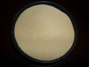 供應(yīng)用于水處理用 污水處理菌種