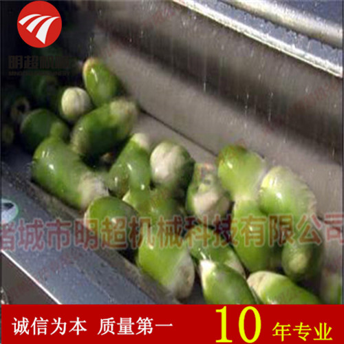 青蘿卜去泥清洗機圖片
