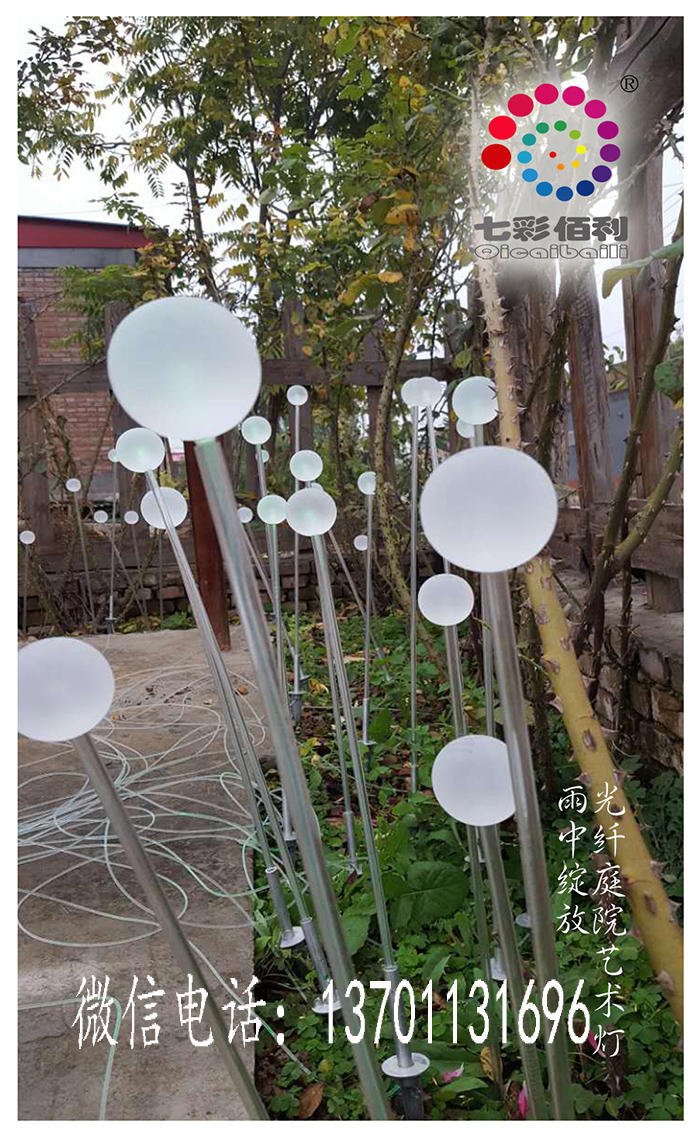 光纖庭院藝術(shù)燈