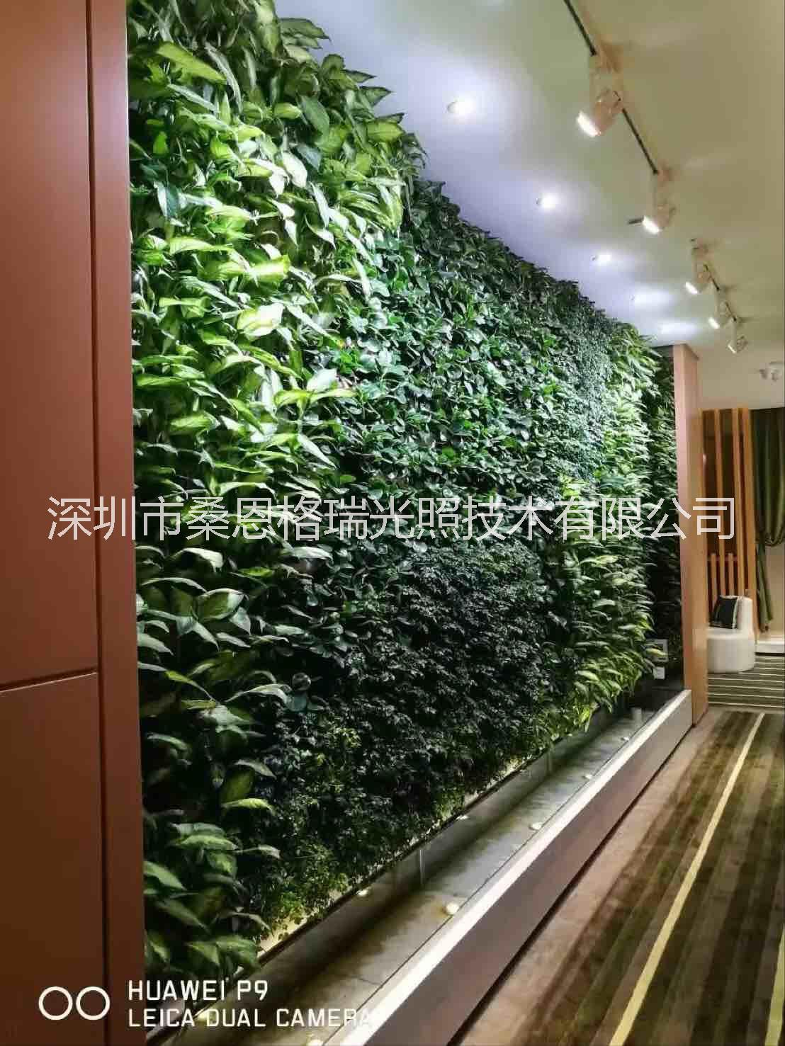 LED綠墻植物生長補光軌道射燈圖片/LED綠墻植物生長補光軌道射燈樣板圖 (3)