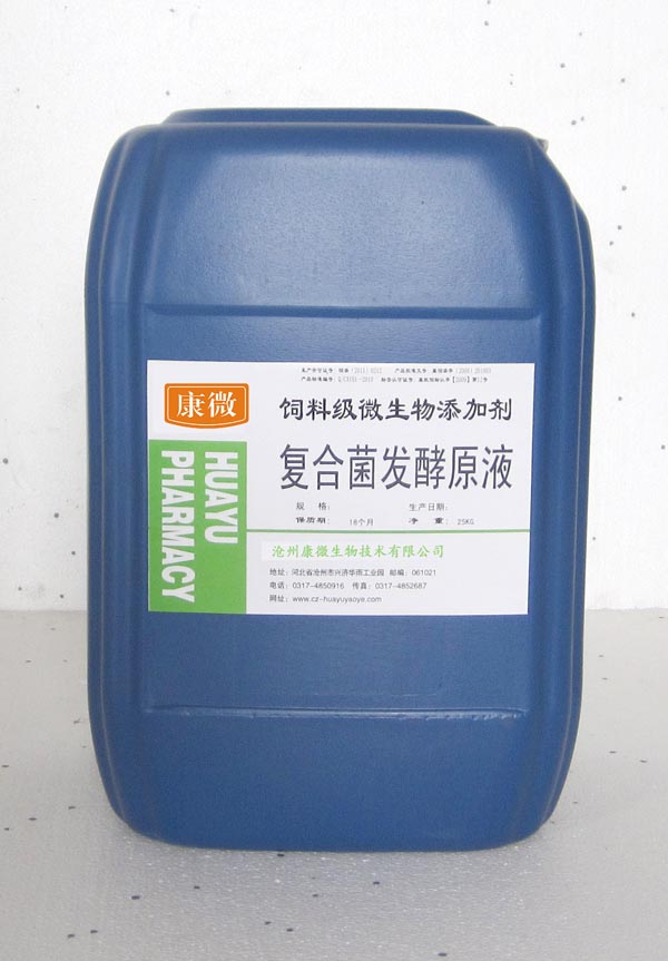 枯草芽孢桿菌圖片/枯草芽孢桿菌樣板圖 (1)
