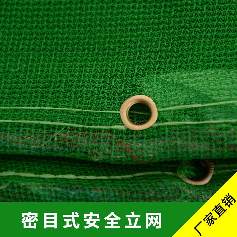 廠家直銷(xiāo)密目式安全立網(wǎng)產(chǎn)品 圍欄綠網(wǎng) 密目工程防護(hù)安全網(wǎng)現(xiàn)貨