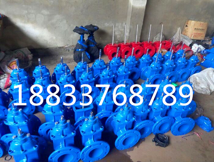 明桿軟密封閘閥圖片/明桿軟密封閘閥樣板圖 (4)