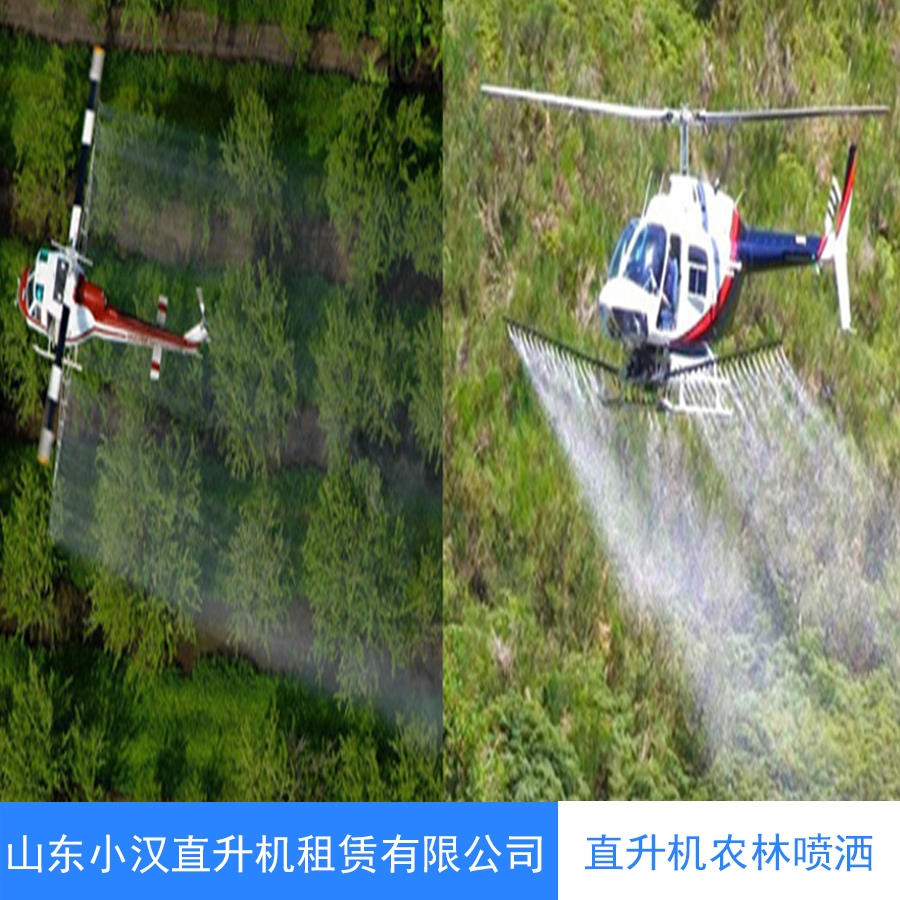 沈陽直升機農林噴灑公司圖片