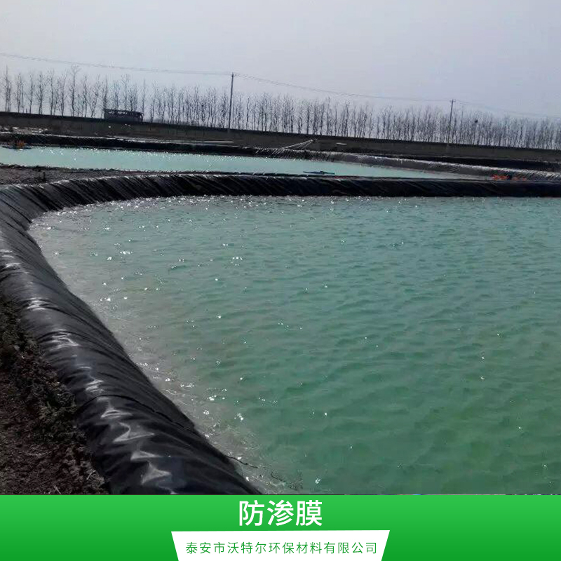 山東污水池防滲膜__防滲膜土工膜價格