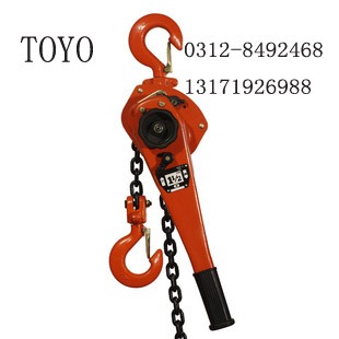 日本東洋TOYO圖片/日本東洋TOYO樣板圖 (1)