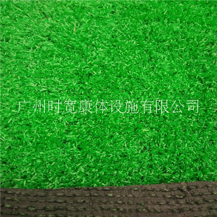裝修人造草圖片/裝修人造草樣板圖 (1)