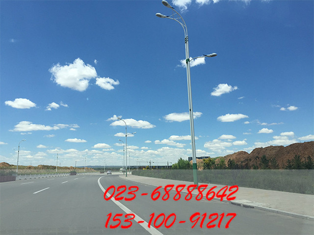 8米路燈桿圖片/8米路燈桿樣板圖 (3)