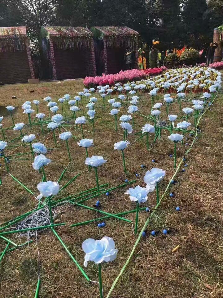 上海玫瑰圖片/上海玫瑰樣板圖 (3)