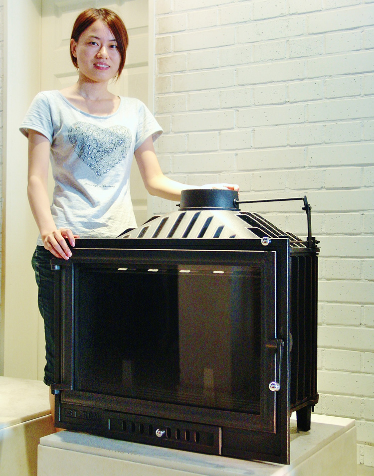 圣羅曼真火壁爐 維斯塔圖片