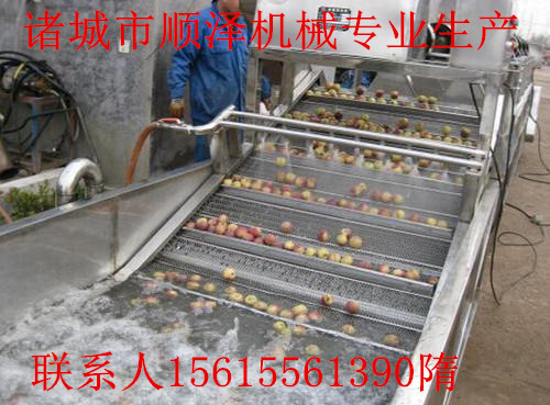 藍(lán)莓清洗機圖片/藍(lán)莓清洗機樣板圖 (4)