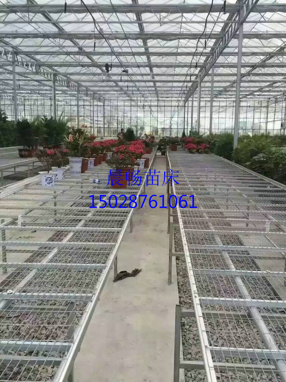 移動苗床圖片/移動苗床樣板圖 (4)