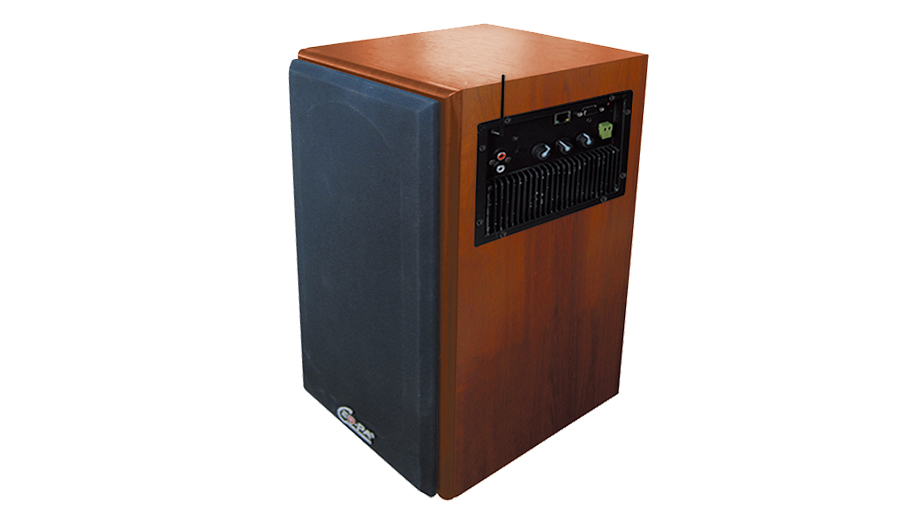 供應(yīng)網(wǎng)絡(luò)音箱CE-IP2.4G  專業(yè)級(jí)音效 接收距離遠(yuǎn) 自動(dòng)對(duì)接