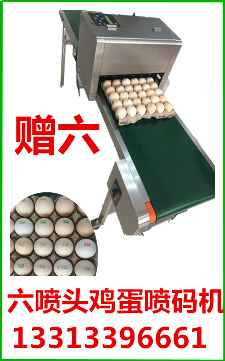 雞蛋噴碼機(jī)圖片/雞蛋噴碼機(jī)樣板圖 (1)