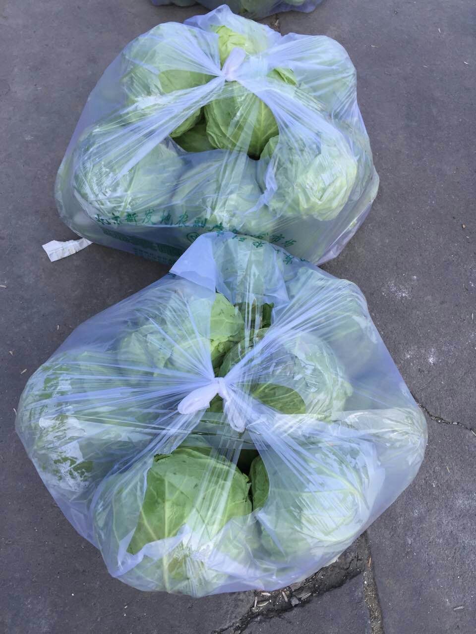白云區(qū)蔬菜配送公司、白云送菜公司圖片