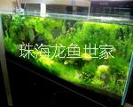 珠海批量銷售魚缸圖片/珠海批量銷售魚缸樣板圖 (3)