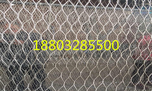 不銹鋼繩網(wǎng)圖片/不銹鋼繩網(wǎng)樣板圖 (1)