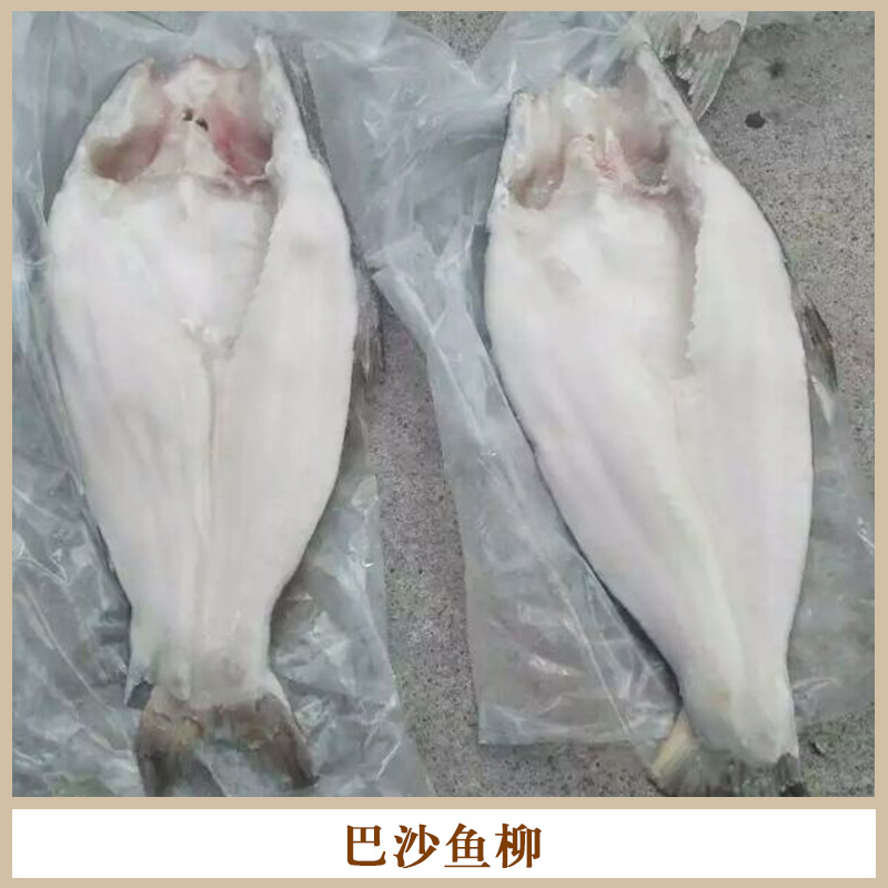 巴沙魚圖片/巴沙魚樣板圖 (1)