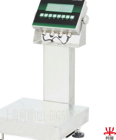 進(jìn)口電子臺(tái)秤圖片/進(jìn)口電子臺(tái)秤樣板圖 (3)