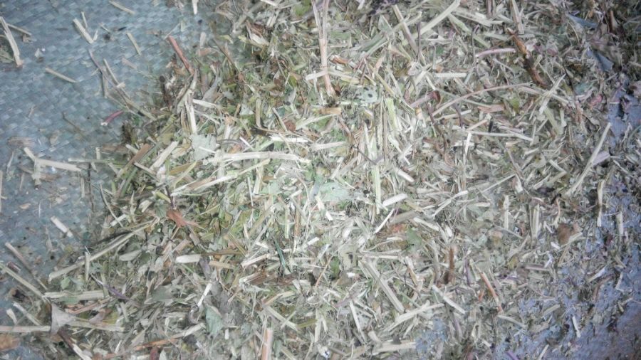 花生秧出售合作社圖片/花生秧出售合作社樣板圖 (4)