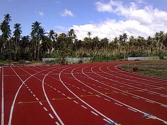 透氣型塑膠跑道圖片/透氣型塑膠跑道樣板圖 (1)