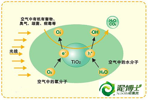 從蘭舍1號硅藻泥氨水實驗說起圖片/從蘭舍1號硅藻泥氨水實驗說起樣板圖 (4)