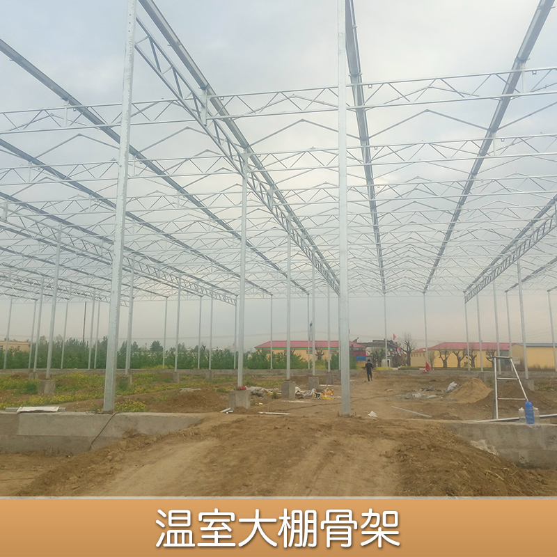 溫室大棚圖片/溫室大棚樣板圖 (4)
