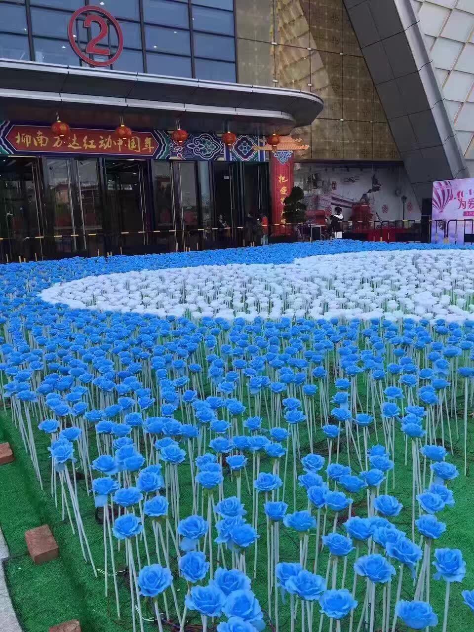 玫瑰花圖片/玫瑰花樣板圖 (1)