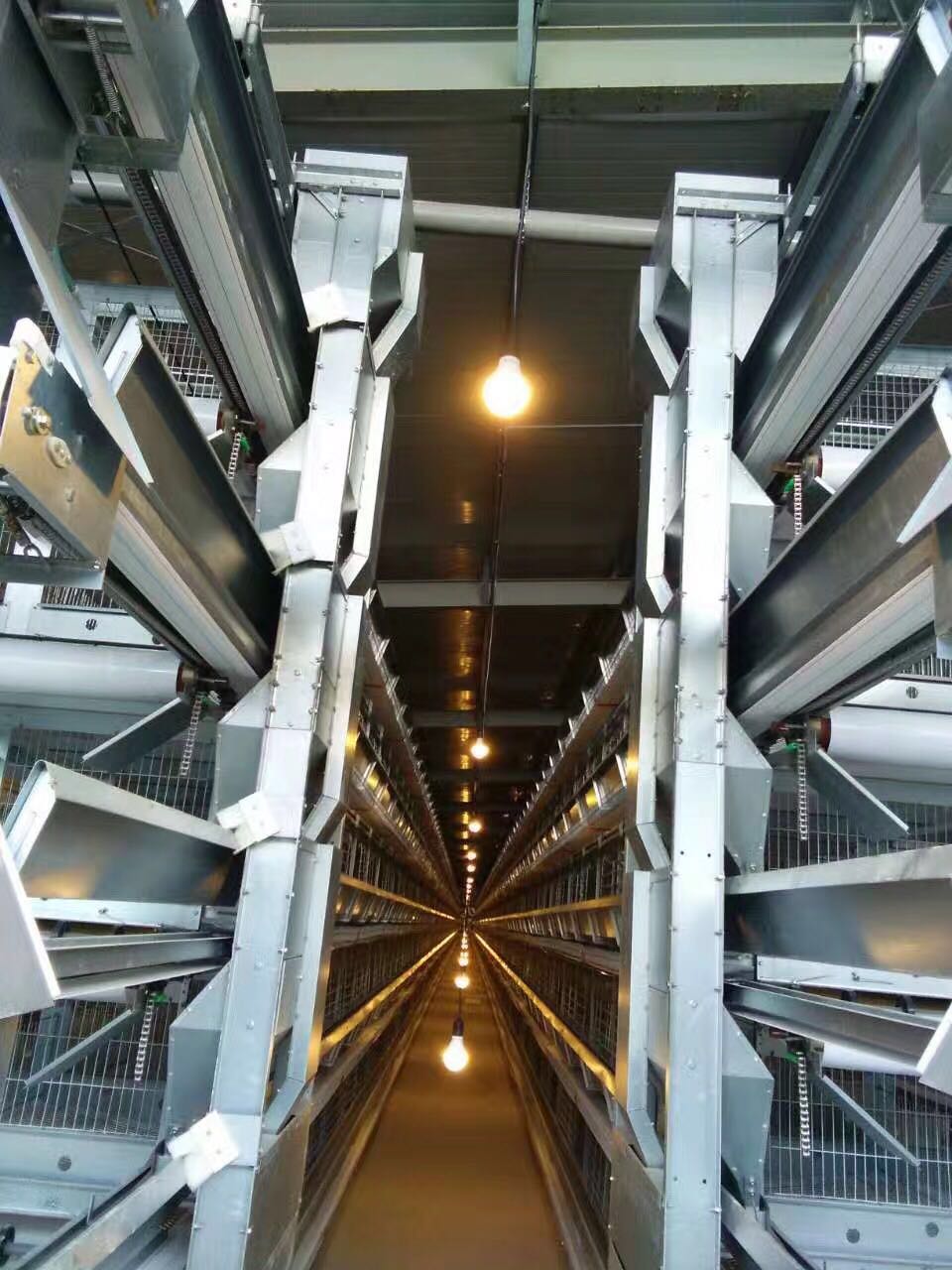 層疊式蛋雞籠圖片/層疊式蛋雞籠樣板圖 (4)