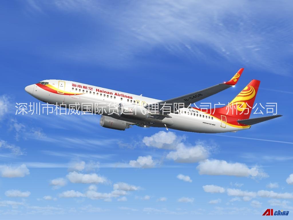 提供飛巴黎CDG國際空運服務圖片